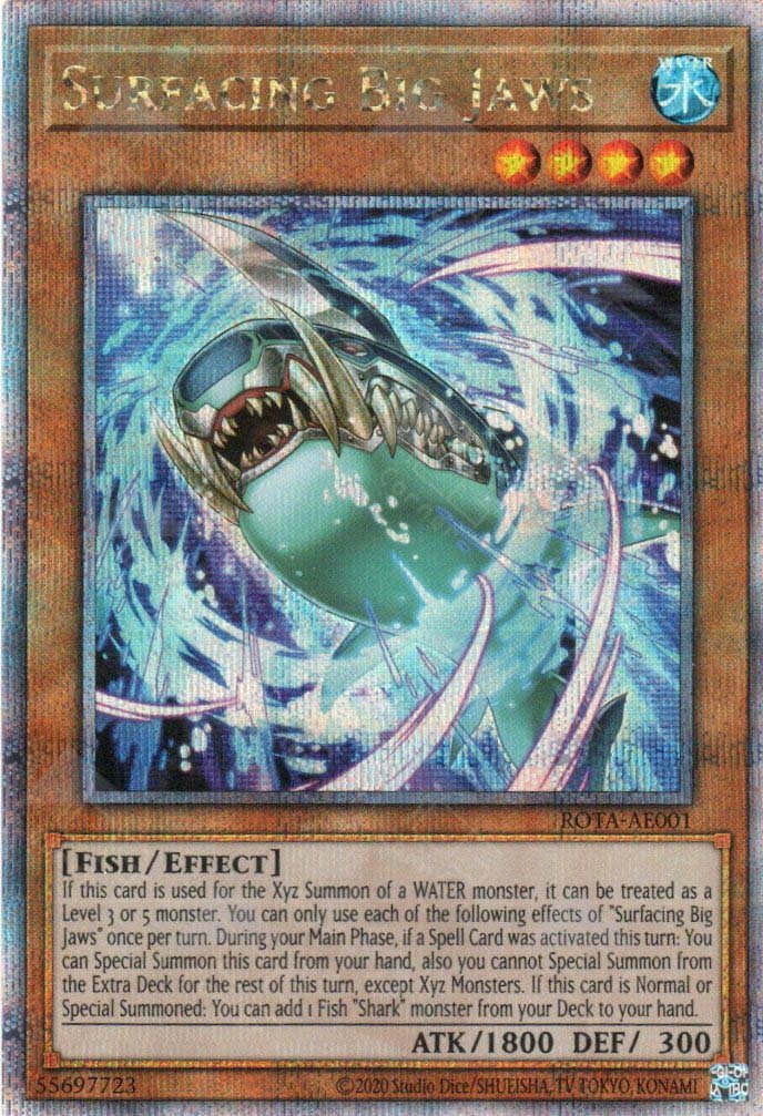 Rota-AE001 Surfacing Big Jaws