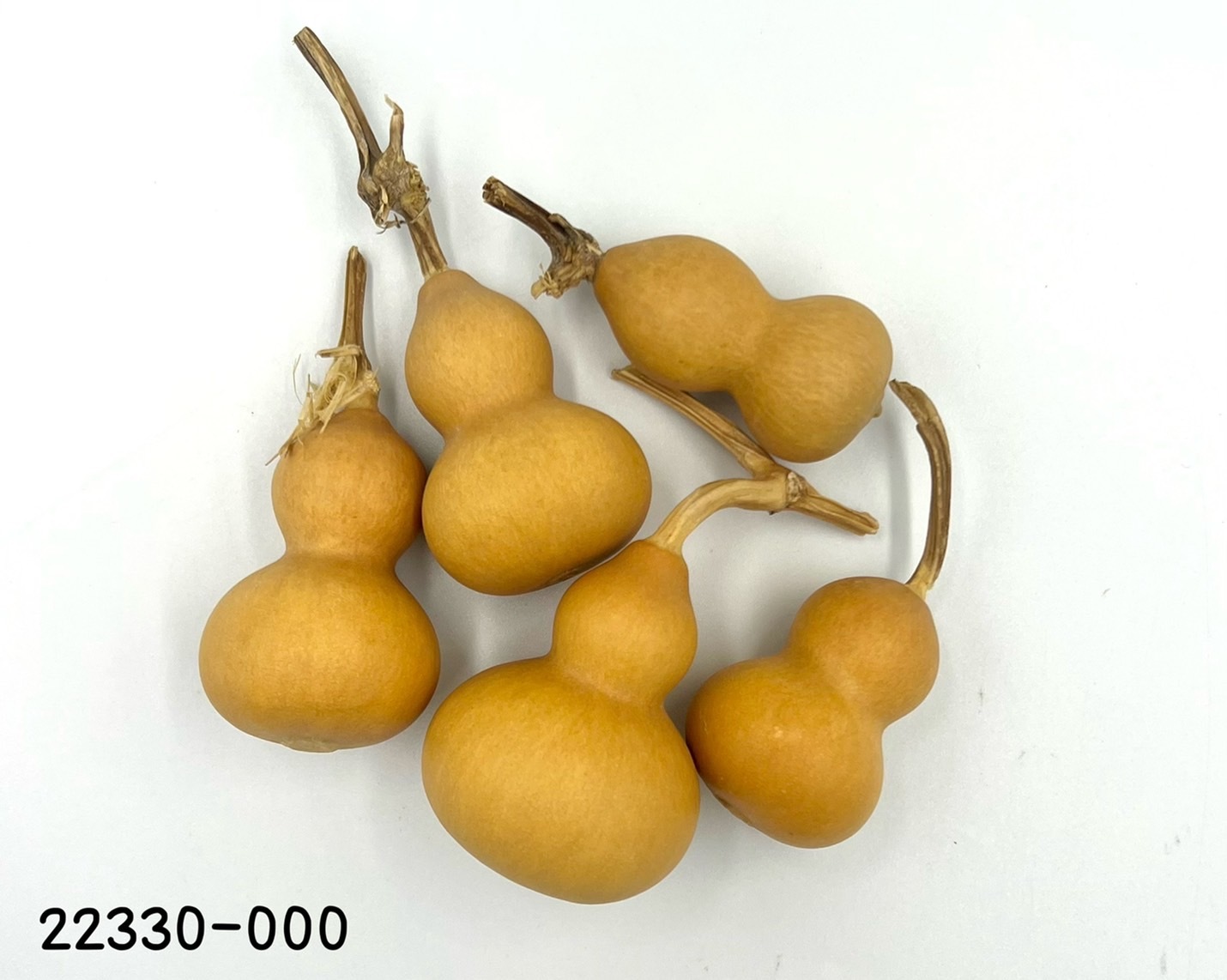 迷你葫蘆 22330-000