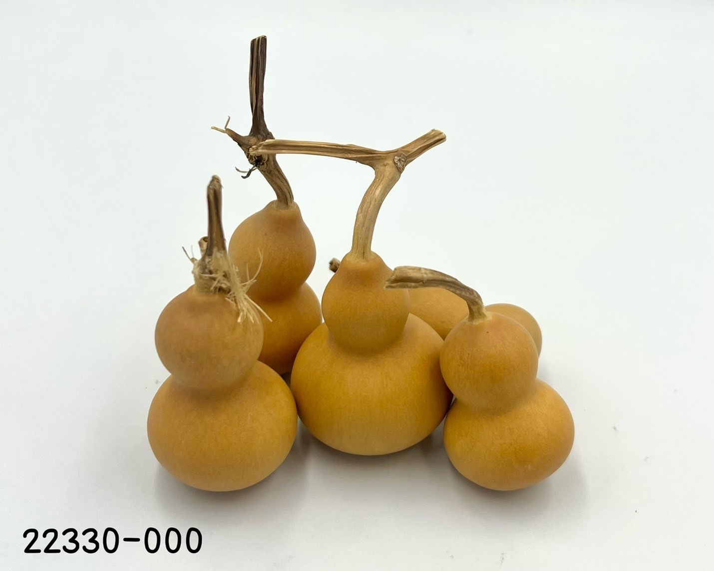 迷你葫蘆 22330-000