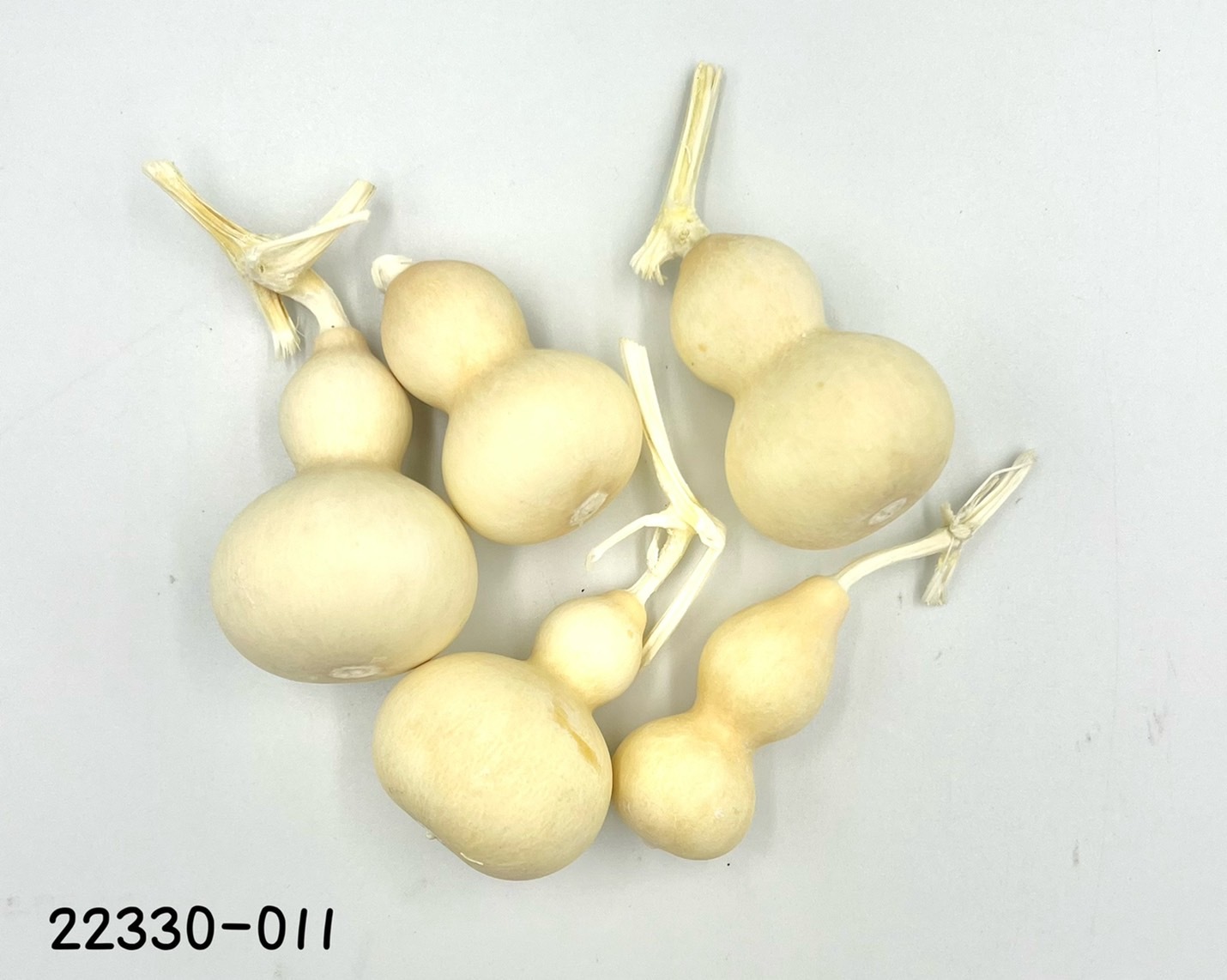 迷你葫蘆 22330-011