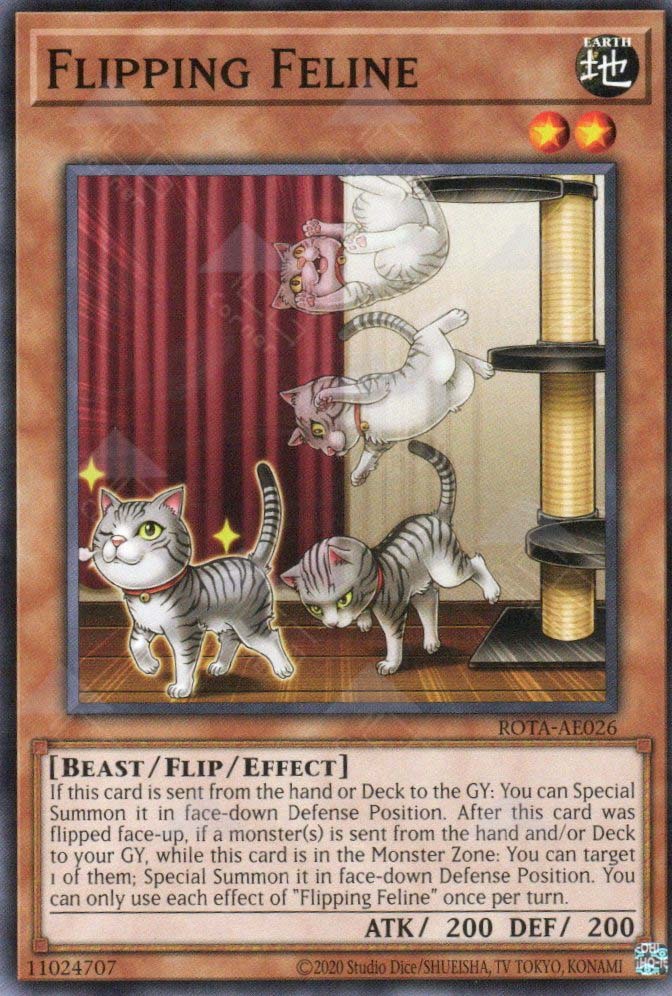 Rota-AE026 Flipping Feline
