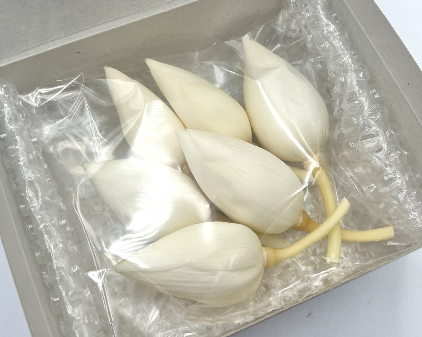 不凋荷花 05112-011