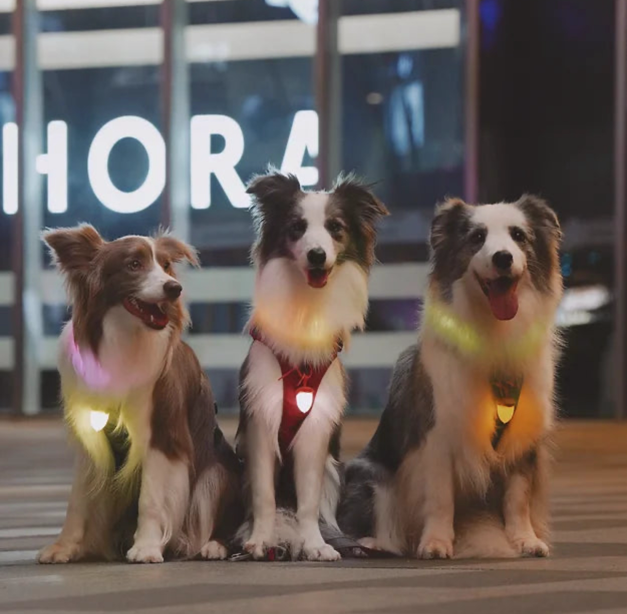 Laroo 榛子型狀LED發光扣 (棕色/綠色/粉色)