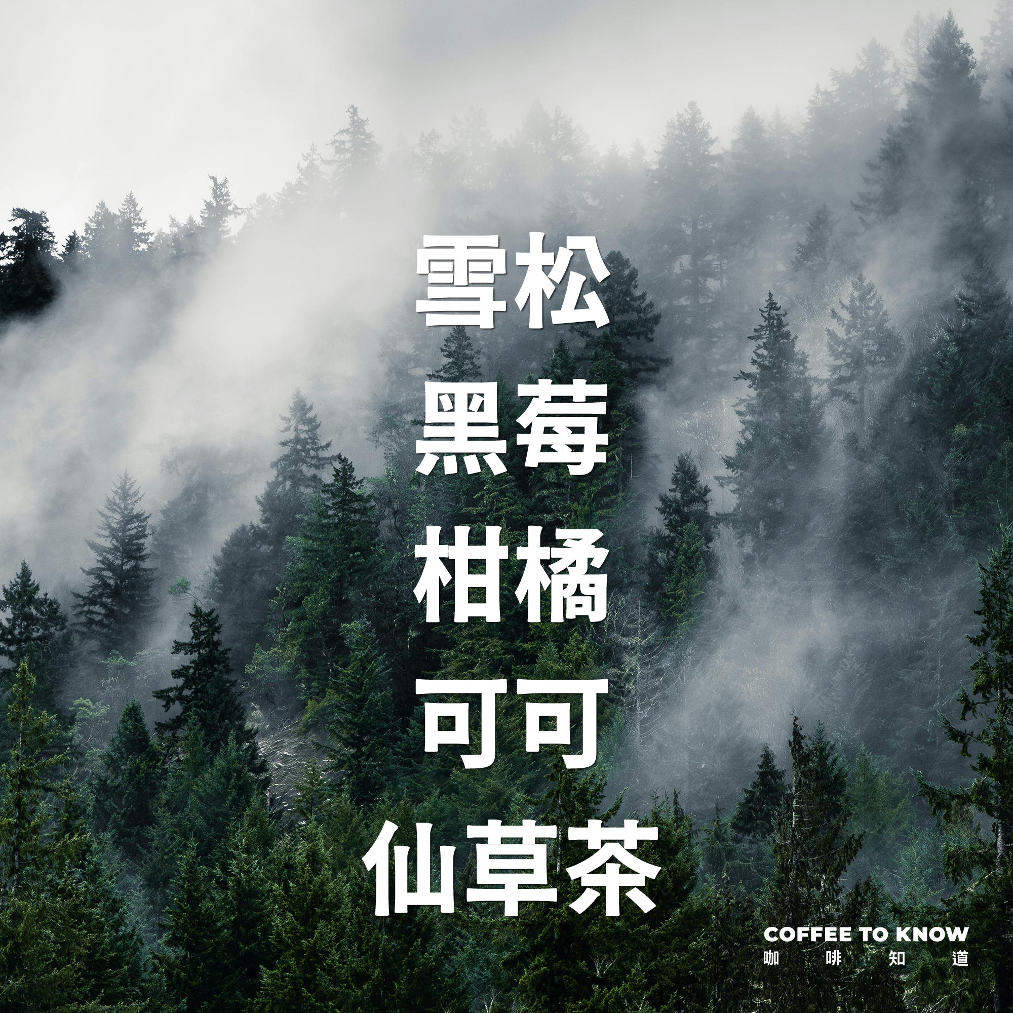 中深焙 印尼 蘇門答臘 虎皇 托巴胡 林東曼特寧 傳統濕剝法