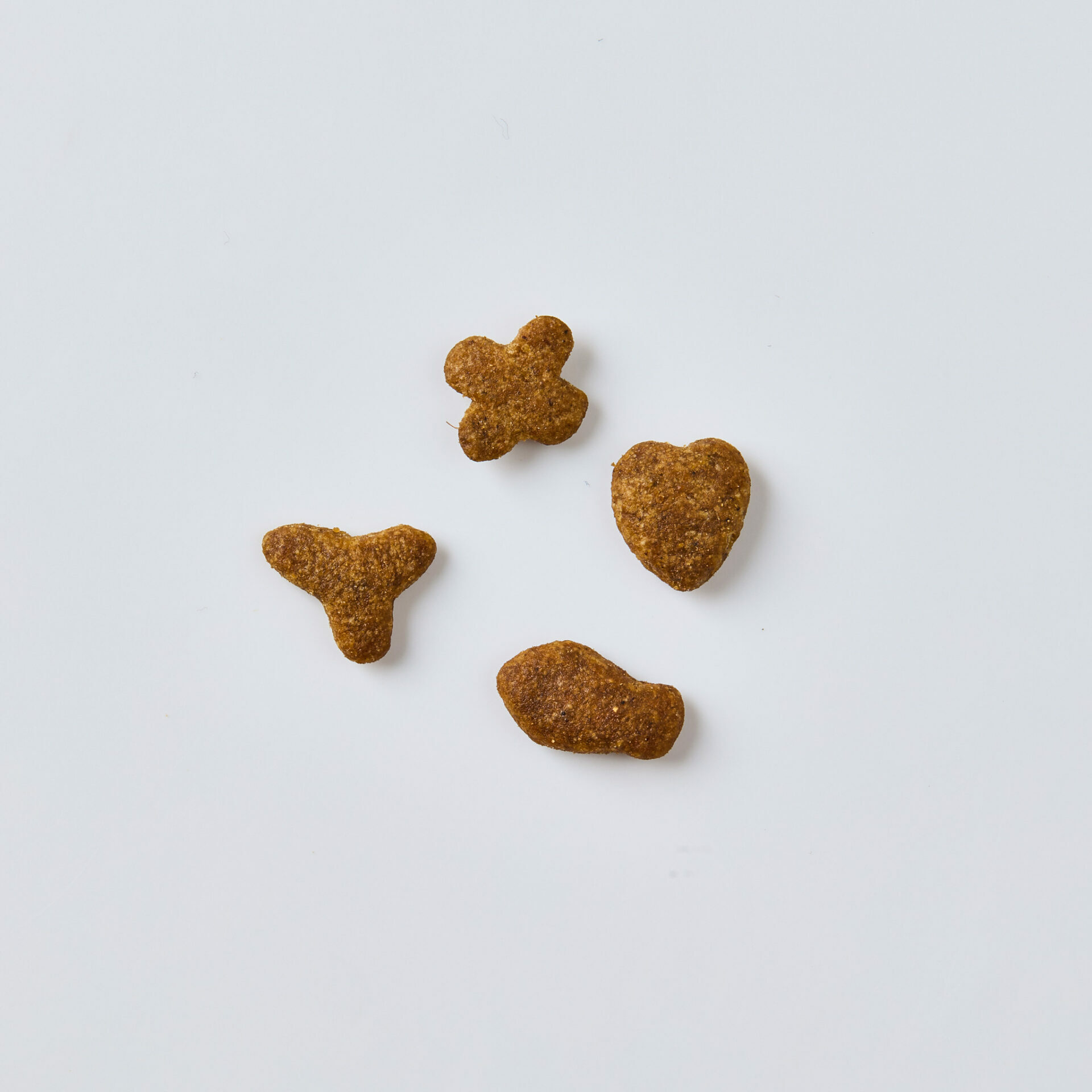 Pramy 香酥脆 鴨乳酪口味 貓潔牙餅