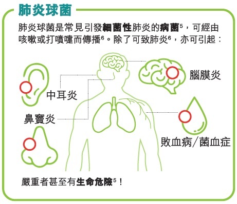 二十三價肺炎球菌多醣疫苗 (PPSV23)