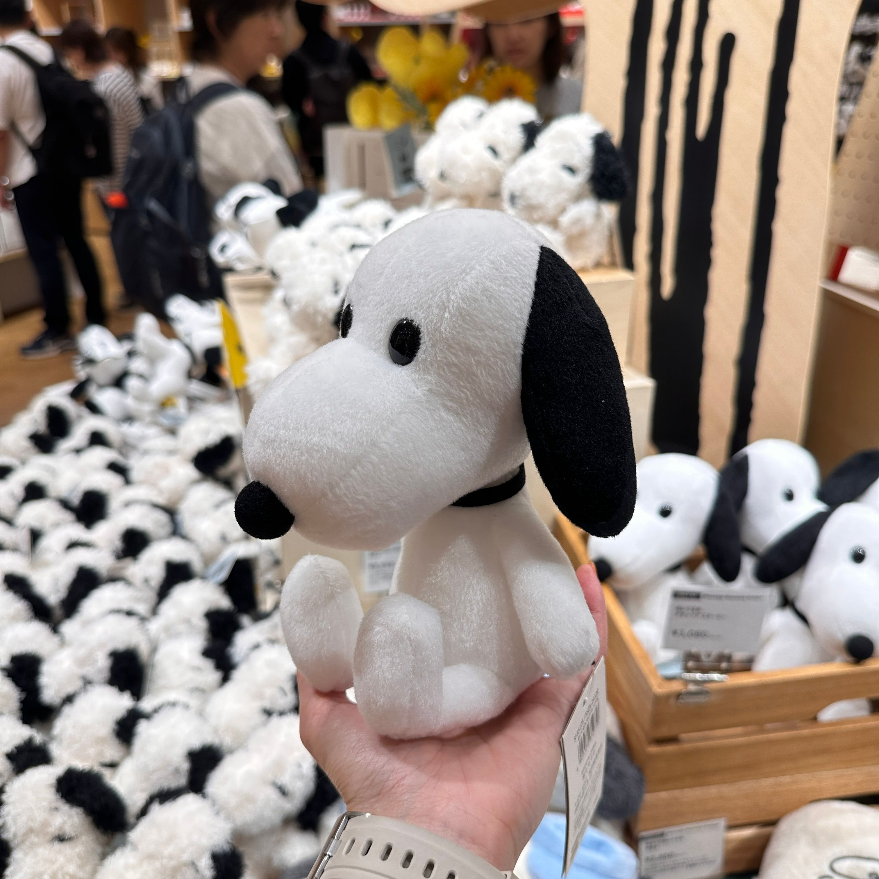 現貨┃日本史努比博物館限定 snoopy 泰迪熊 娃娃