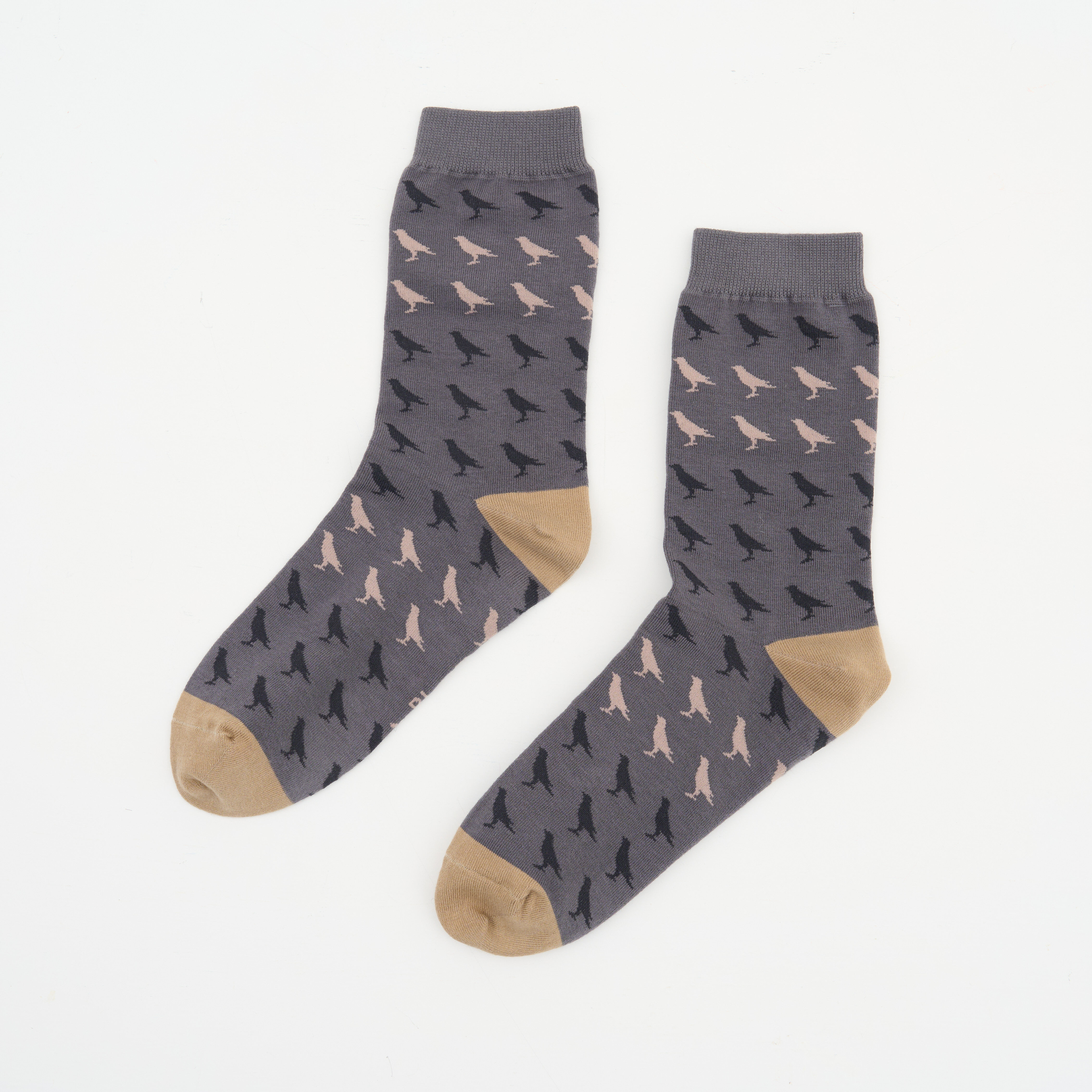 Crew Socks/Crested Myna/Dark Gray