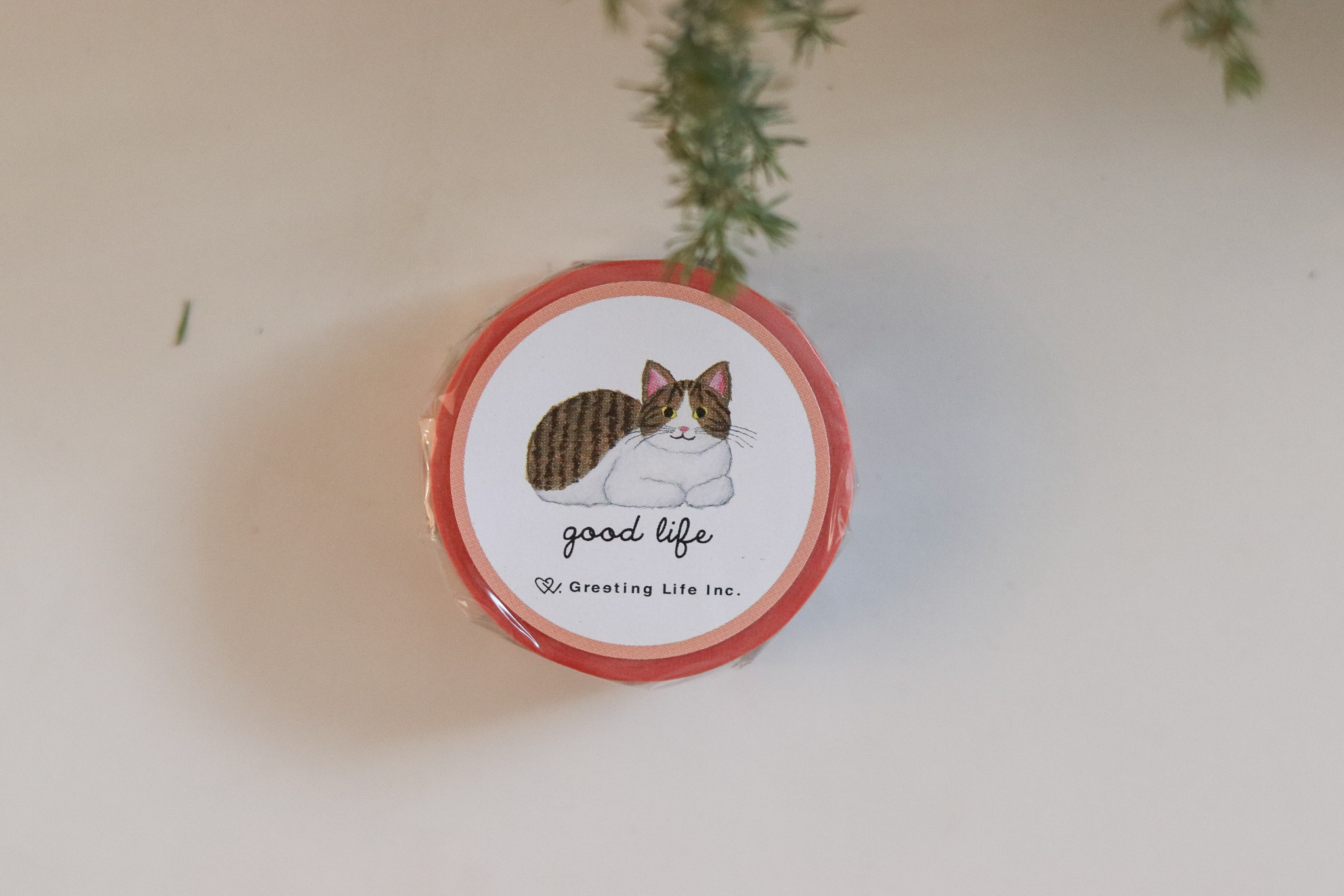 米津祐介 貓咪 紙膠帶