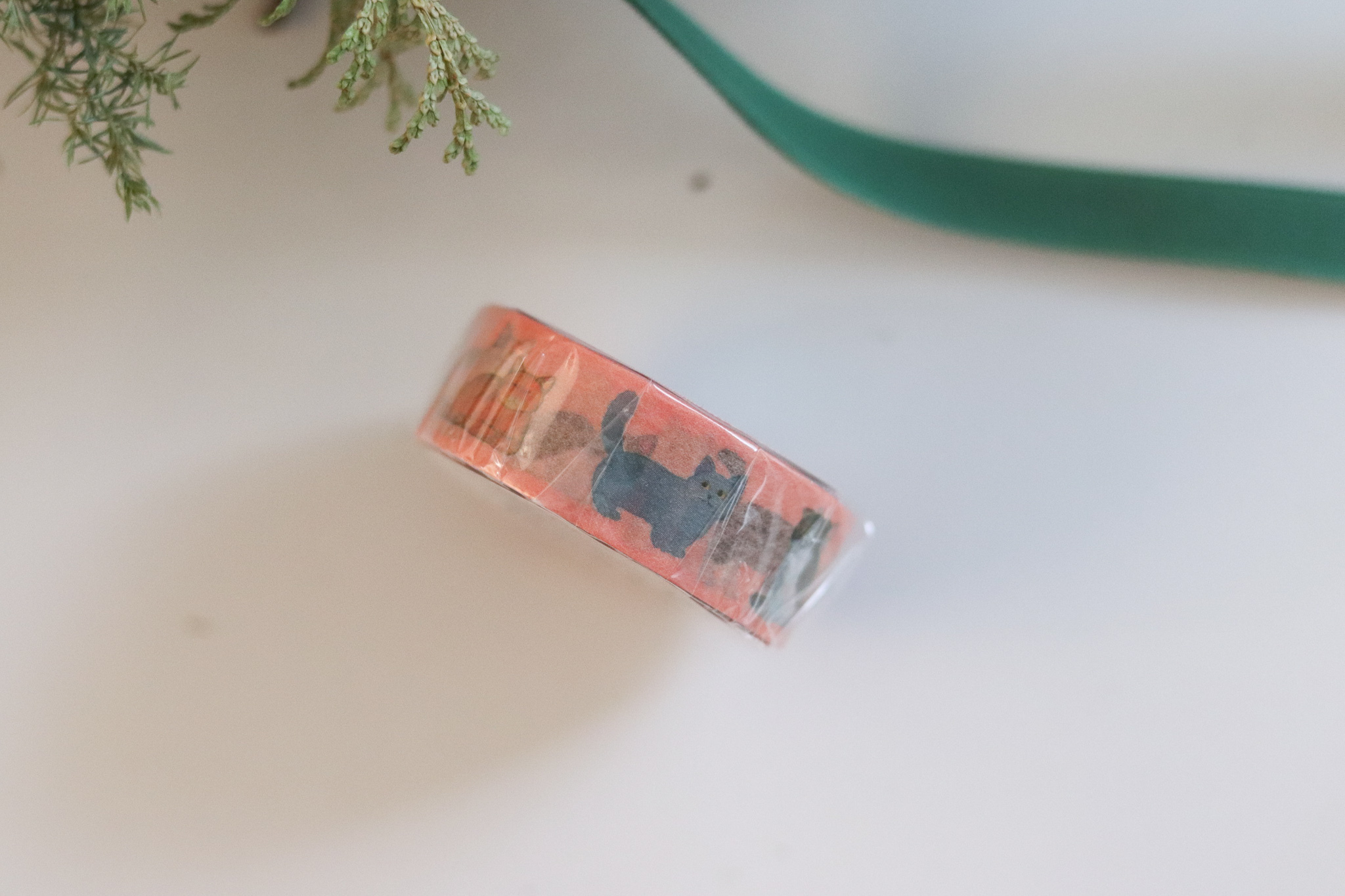 米津祐介 貓咪 紙膠帶