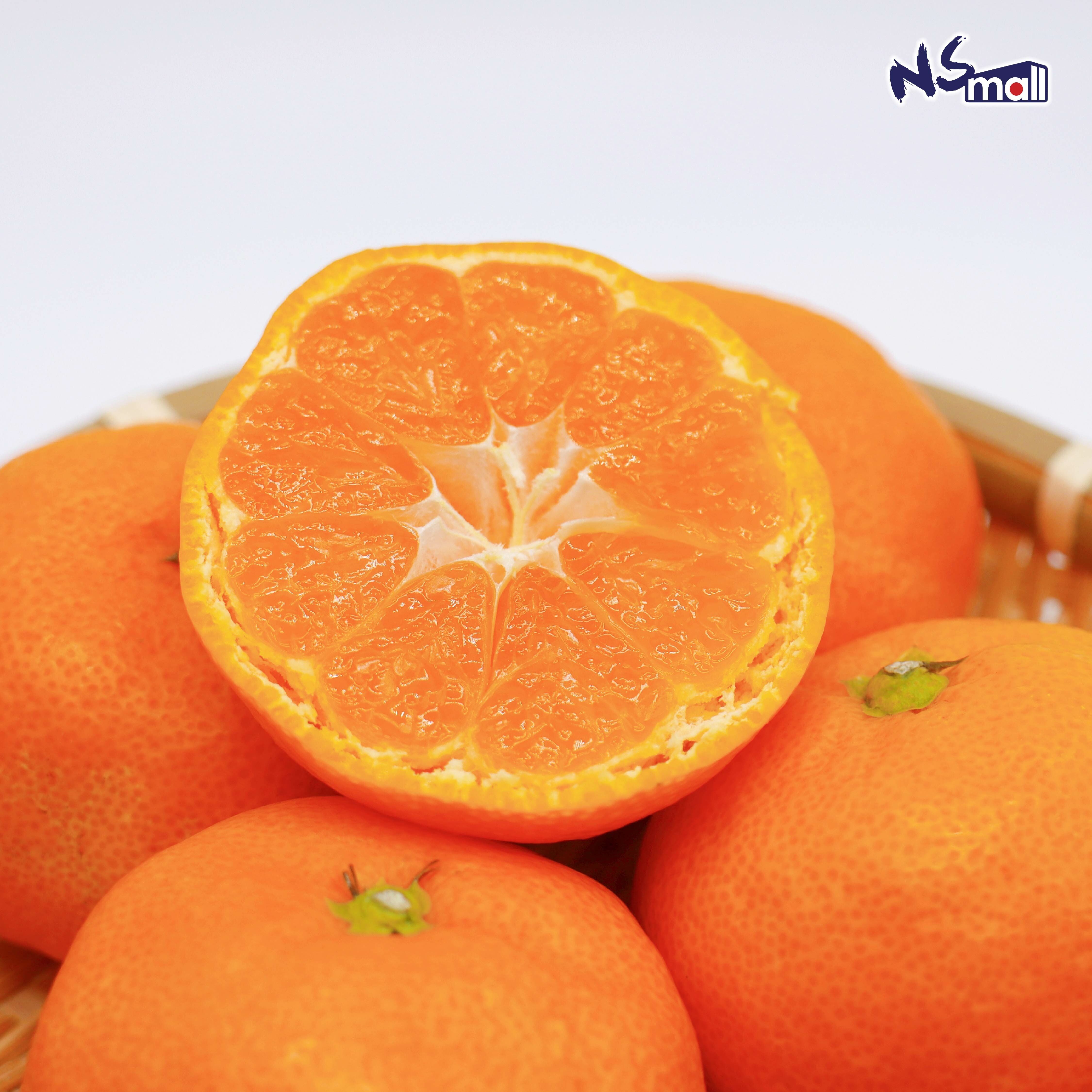 愛媛蜜柑 約5kg/箱