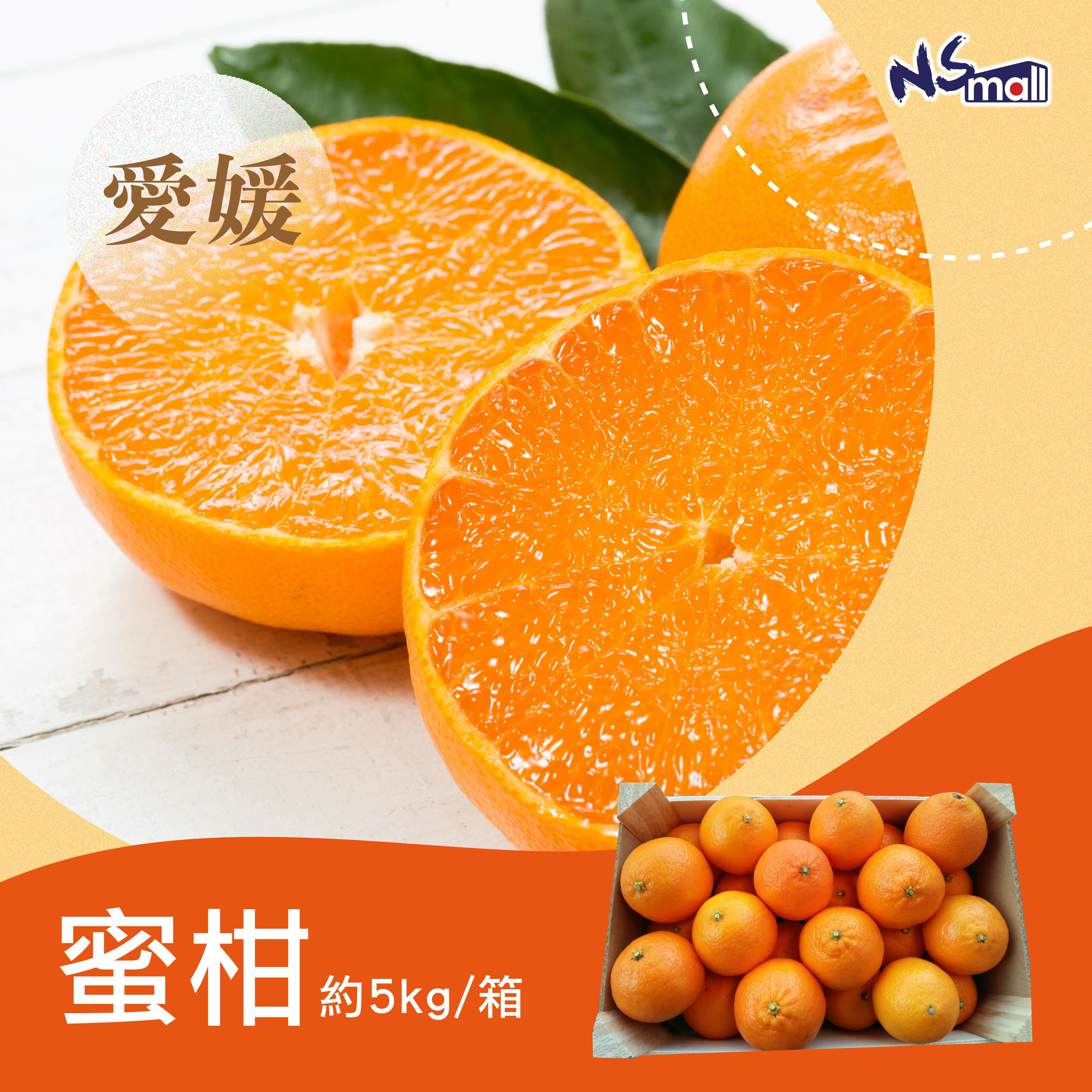 愛媛蜜柑 約5kg/箱