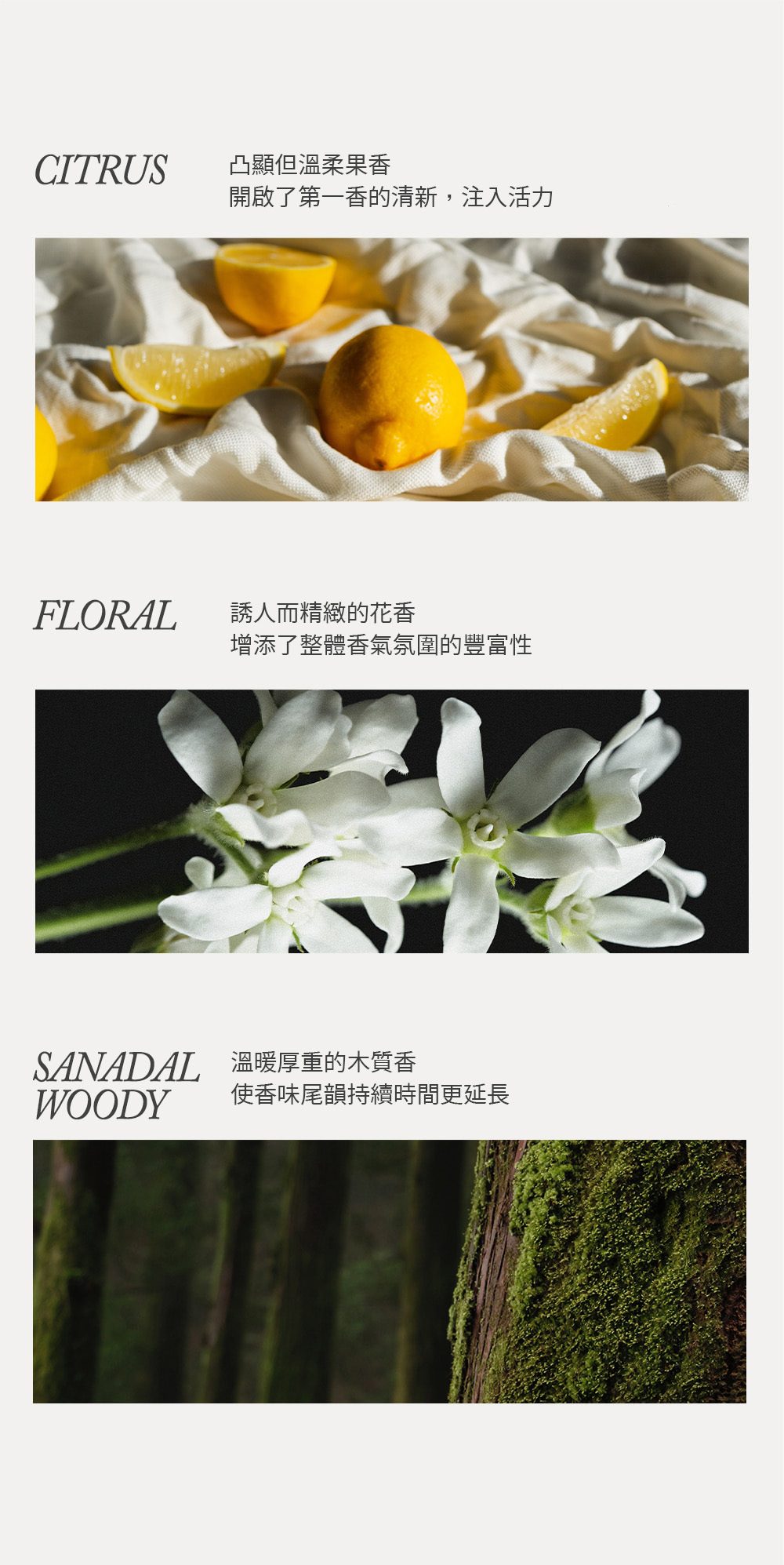 TEMPORARY 魅惑女神淡香精