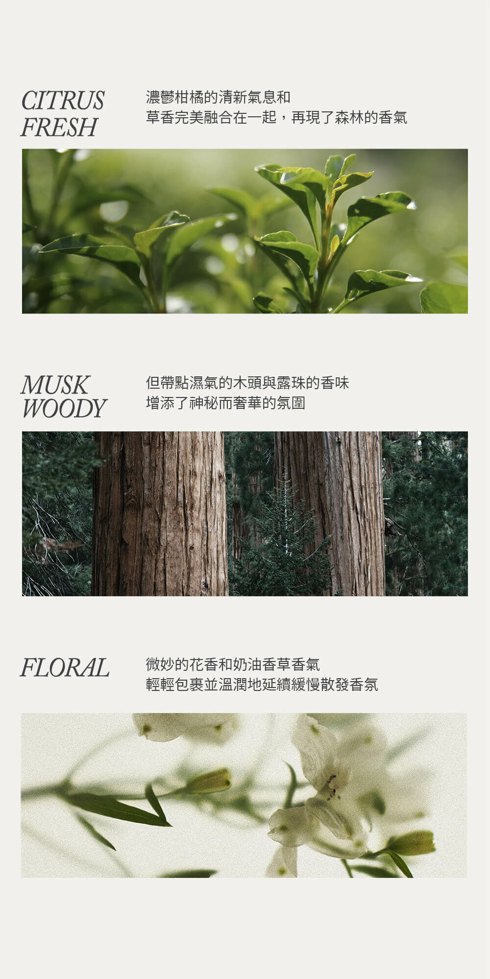 TEMPORARY 魅惑女神淡香精