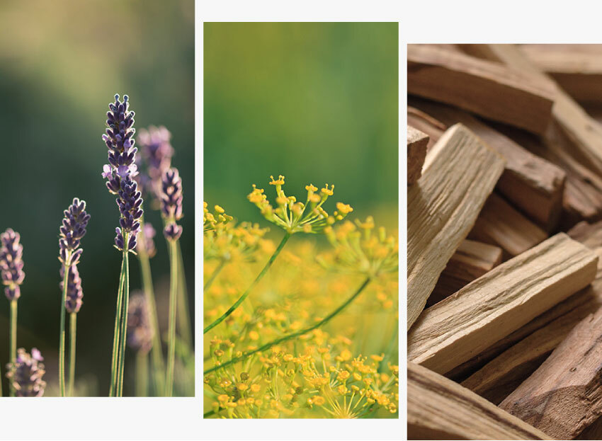 靜謐夜空 複方精油