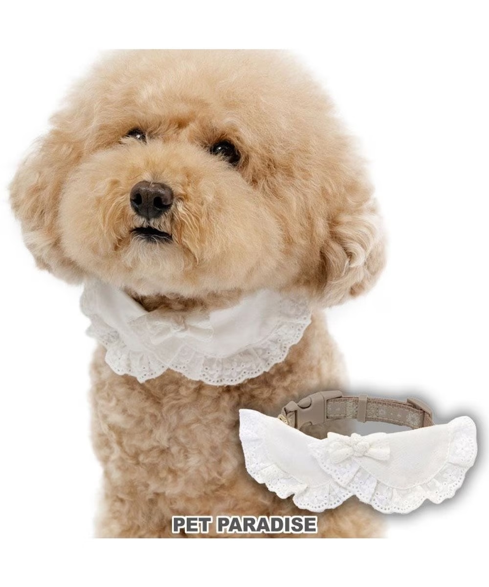 【Pet Paradise】Floral Collar <627-29089>