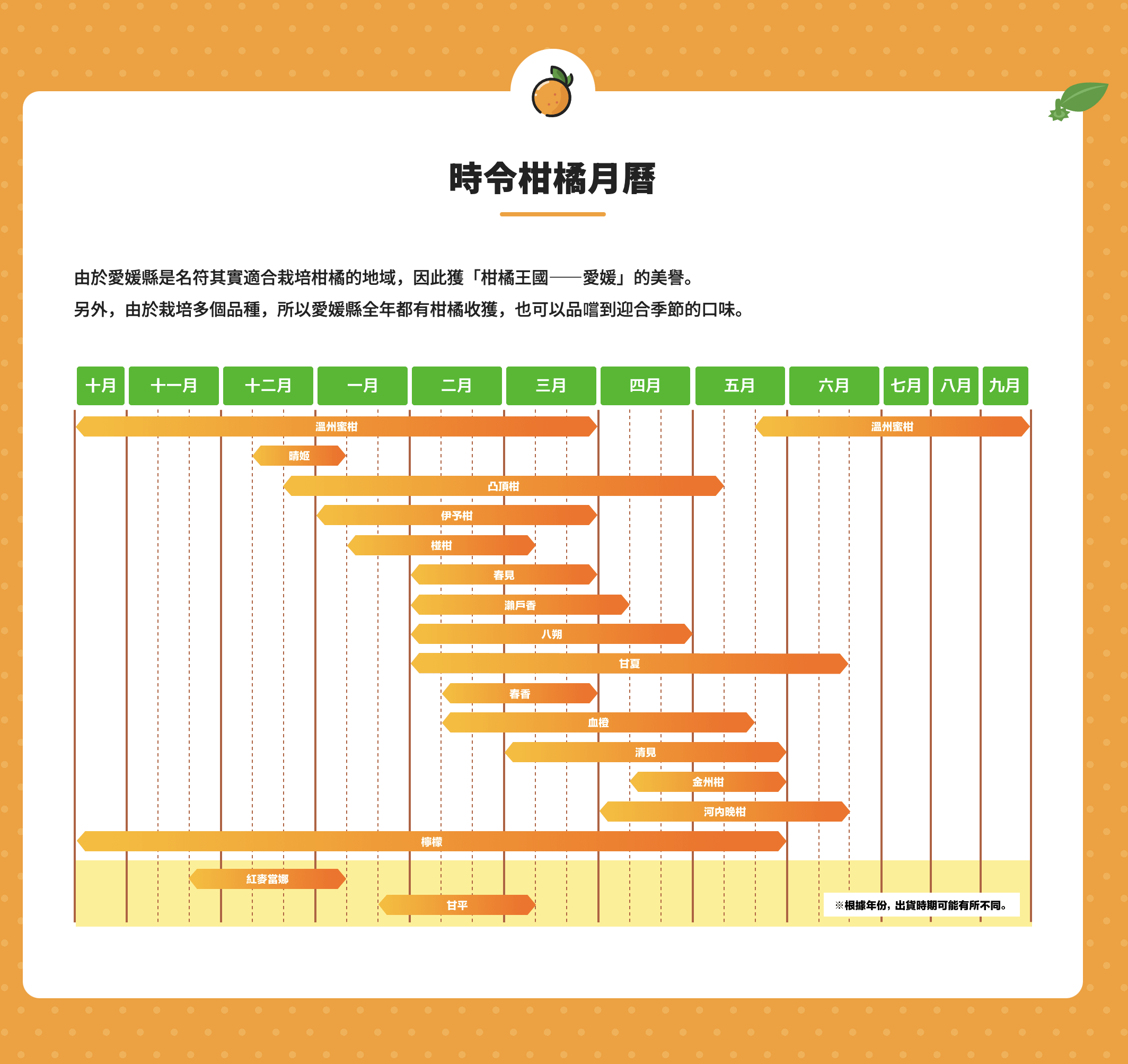 時令柑橘月曆