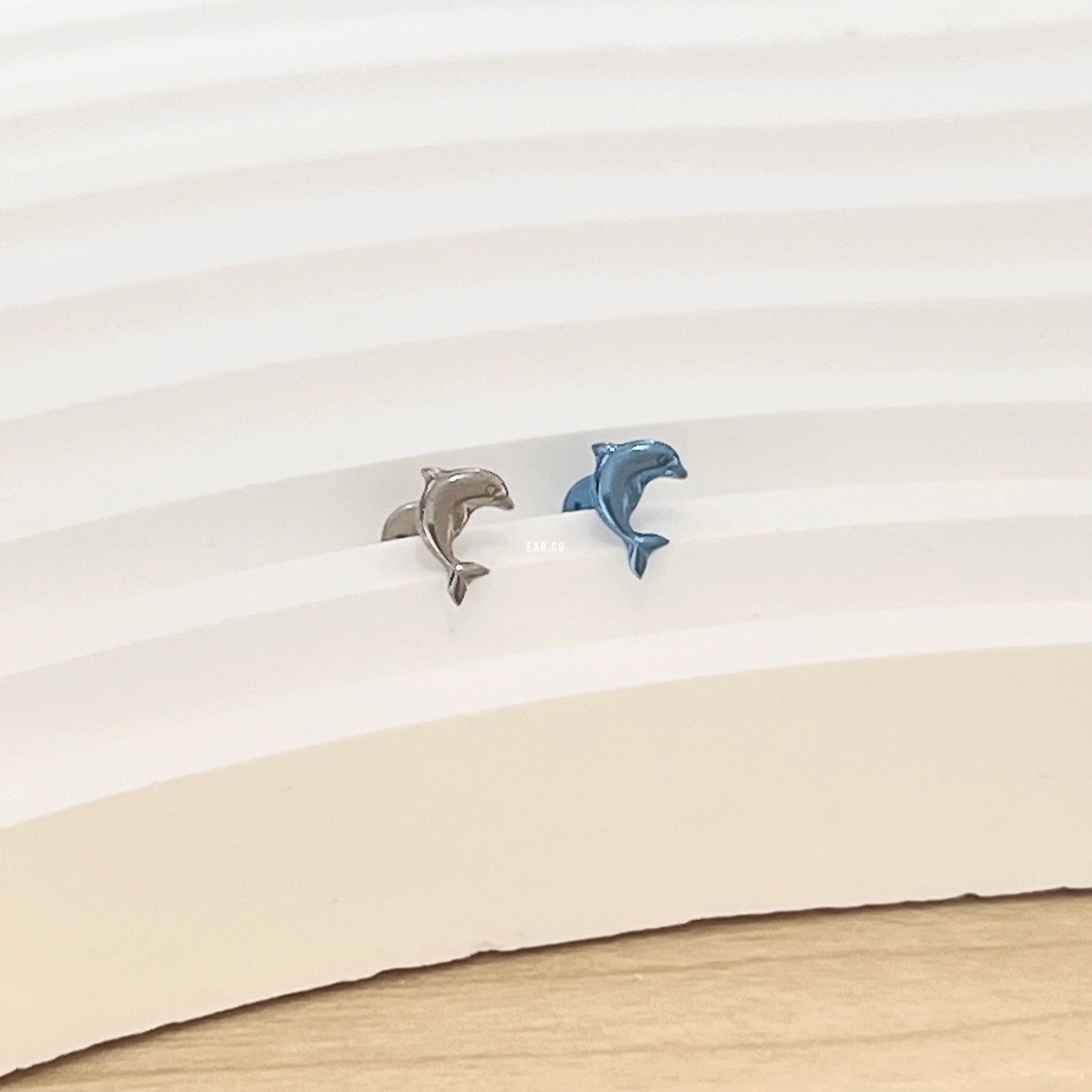 小海豚平頭耳門/耳珠/耳骨釘 [G23 Titanium]