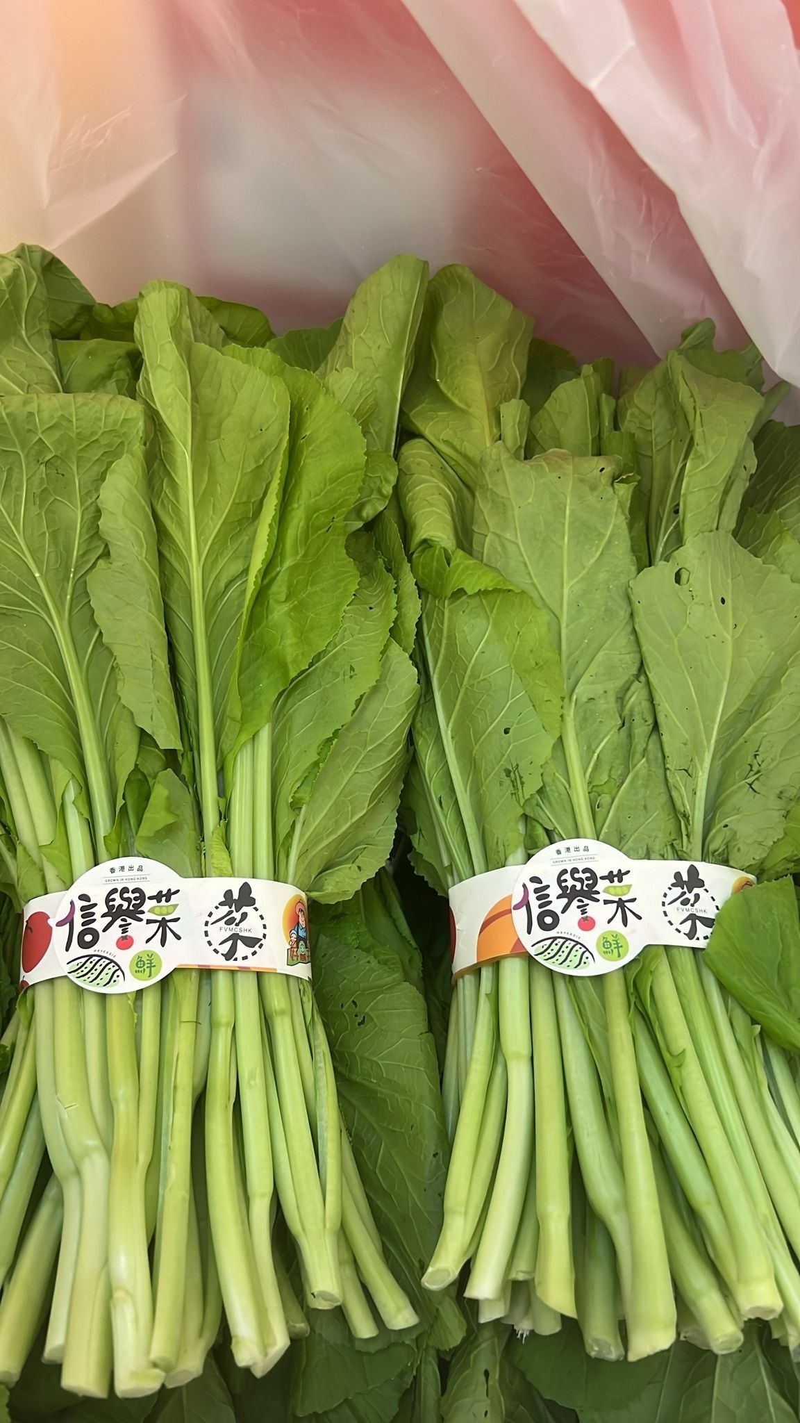 本地信譽菜心苗 （450g)