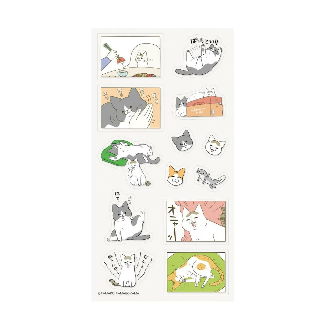 我的貓又做了奇怪的事 PET 透明貼紙