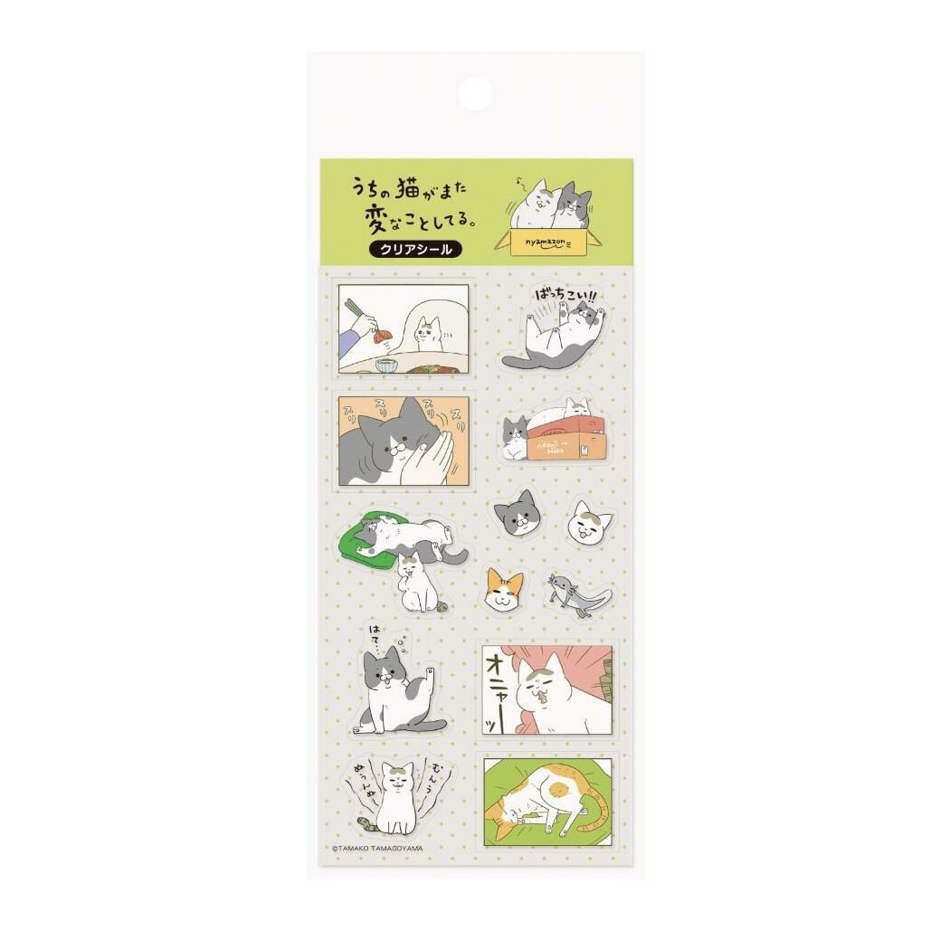 我的貓又做了奇怪的事 PET 透明貼紙