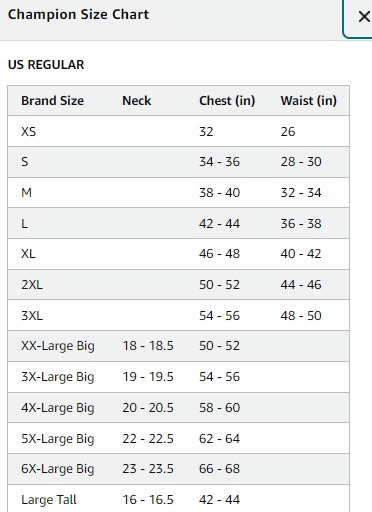 【現貨】Champion G102206 男裝短袖TEE