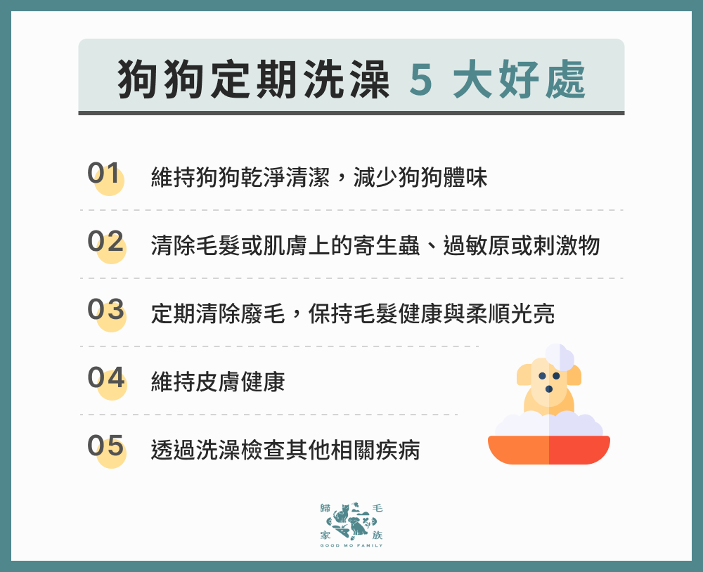 狗狗定期洗澡 5 大好處
