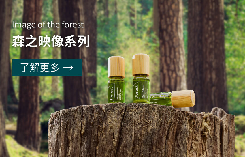 森之映像系列