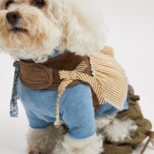 Louisdog 巧克力棕胸背組(芥末條紋/藍條紋)