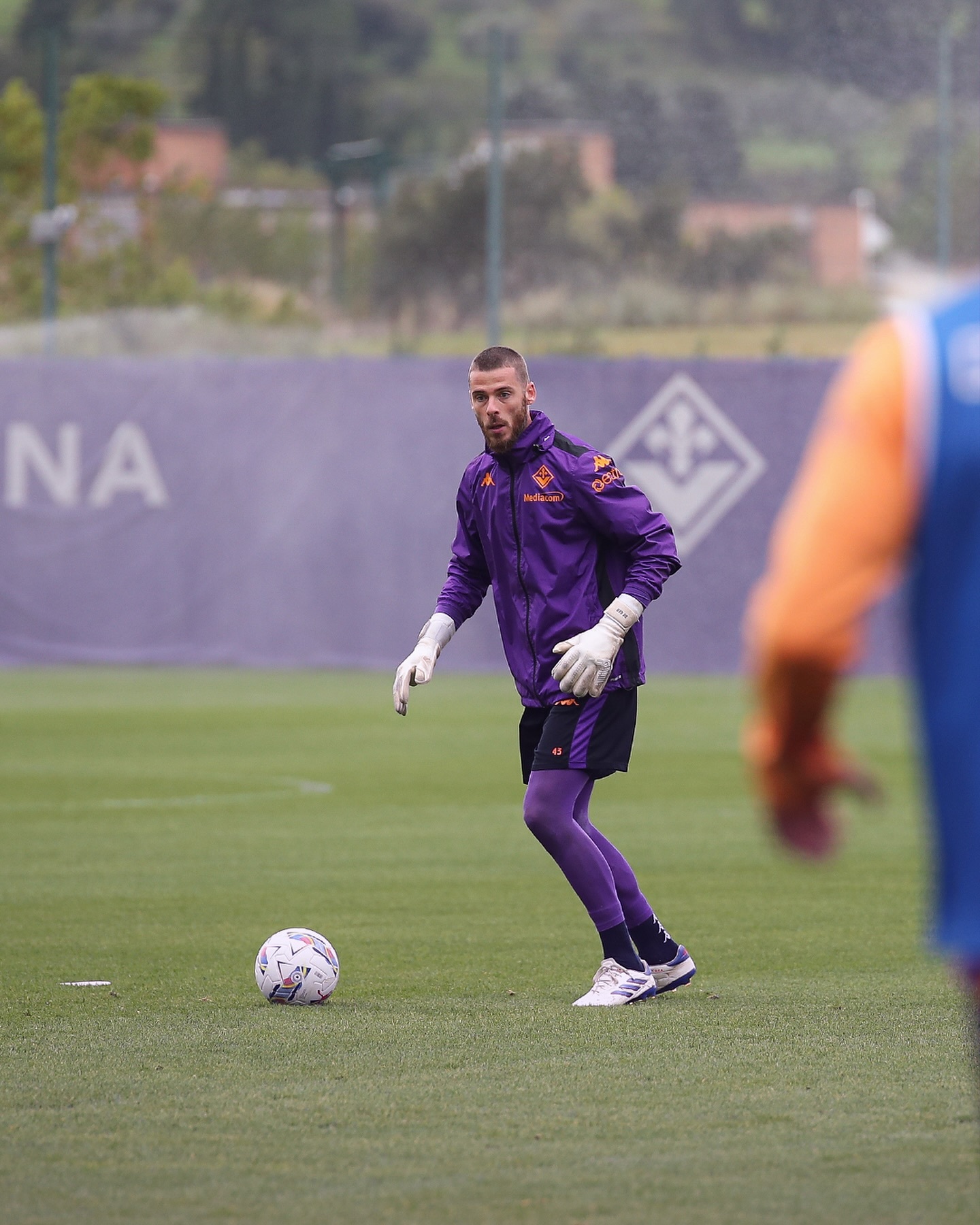 2024 Fiorentina Windbreaker Jacket - Purple