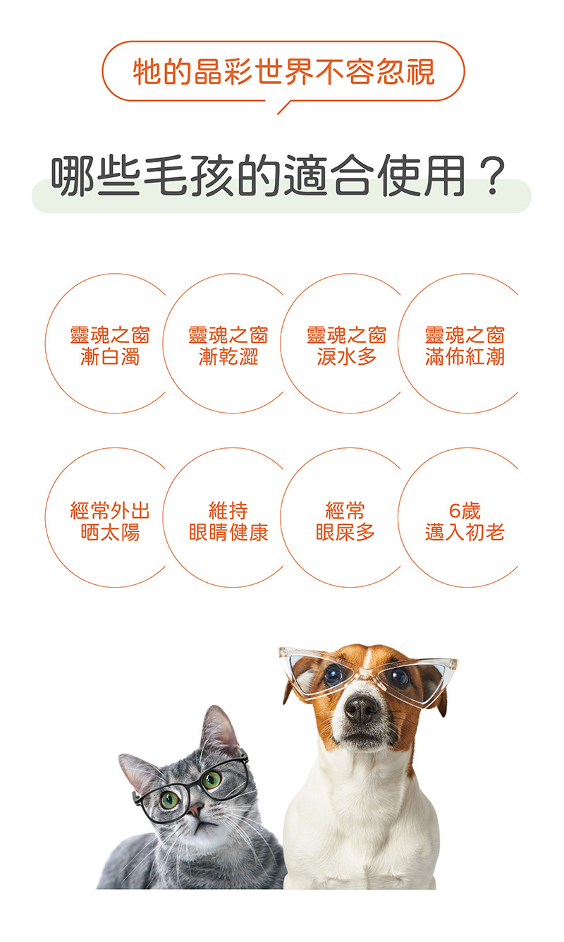 哪些毛孩適用,眼睛白,紅眼,乾眼,流眼淚,6歲以上毛孩,經常曬太陽