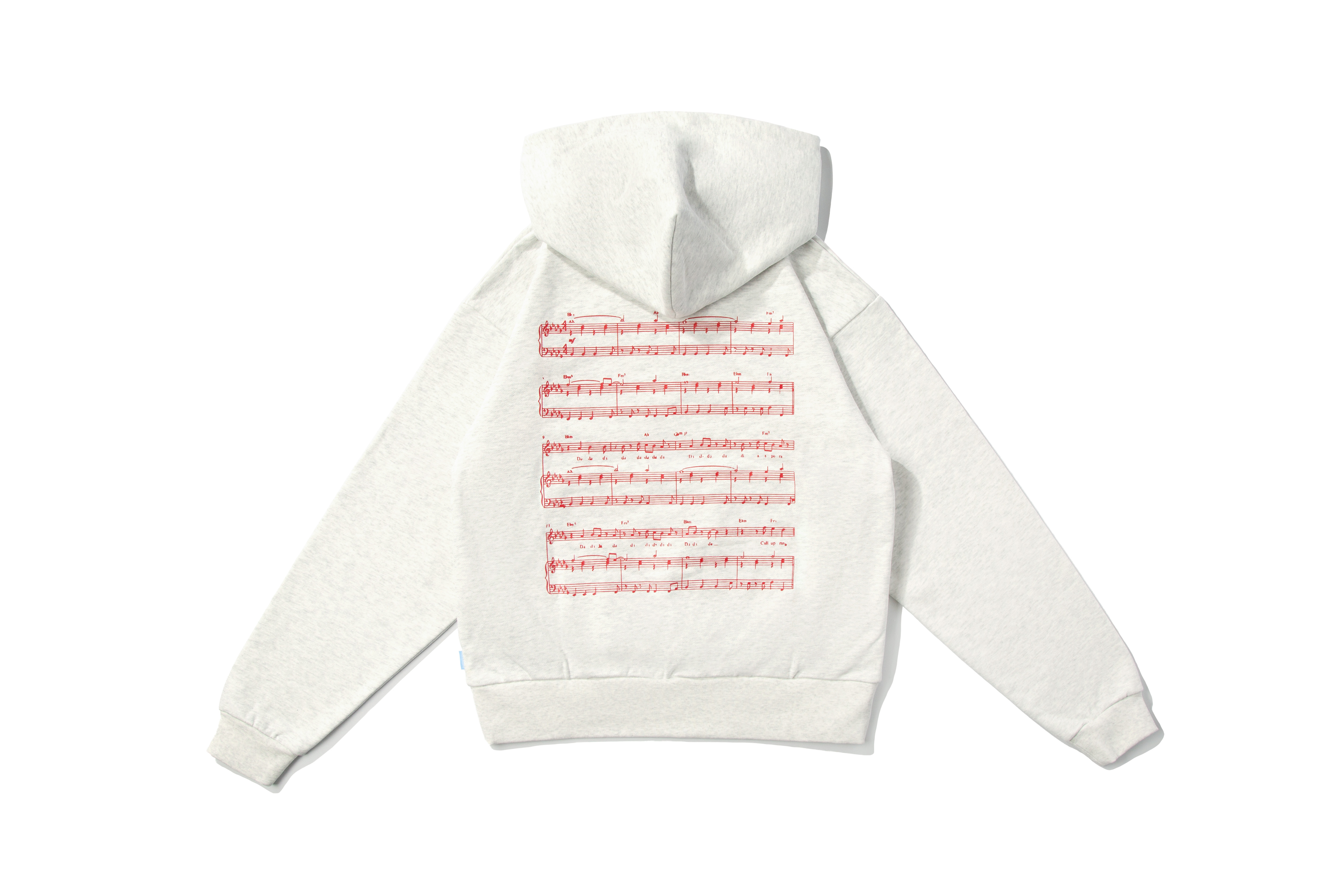 DIASPORA SKATEBOARDS "Part-Time Lover Hooded Sweatshirt" (Ice)