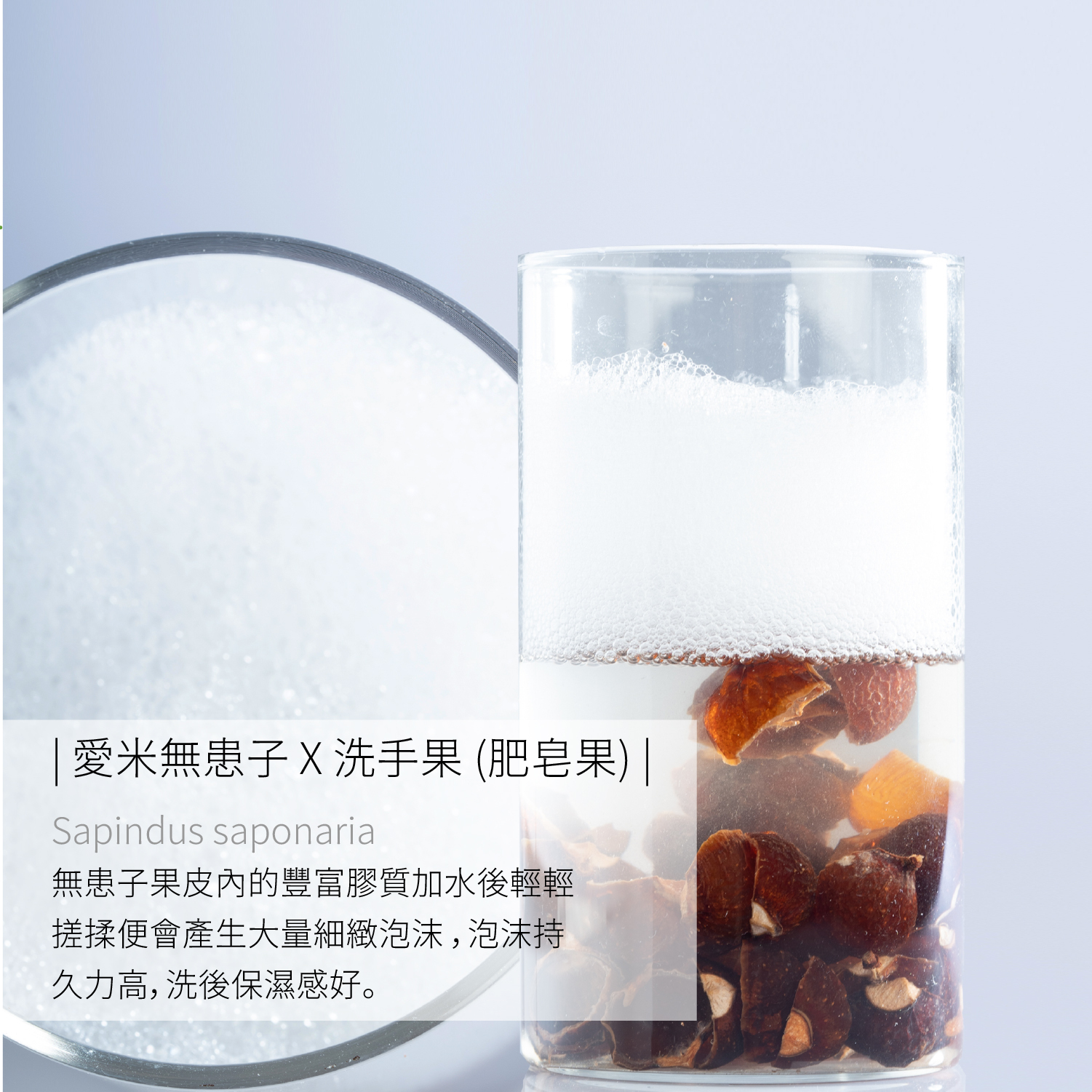 愛米｜天然無患子抗黑淨白洗臉液