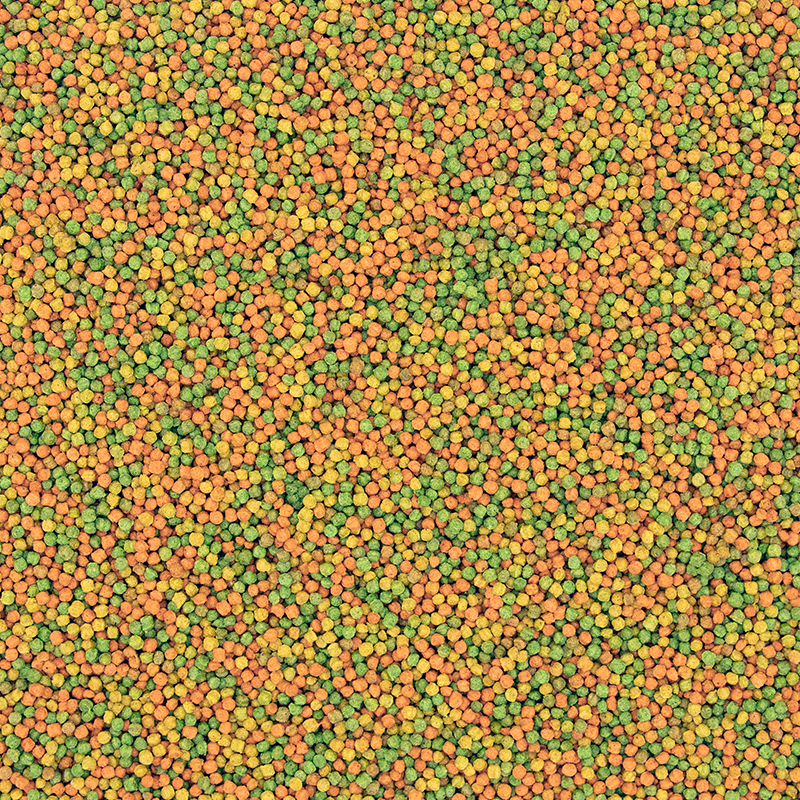 [一件包郵] Versele-Laga Nutribird B14 鸚鵡糧 - 800g (到期日:2026年9月)