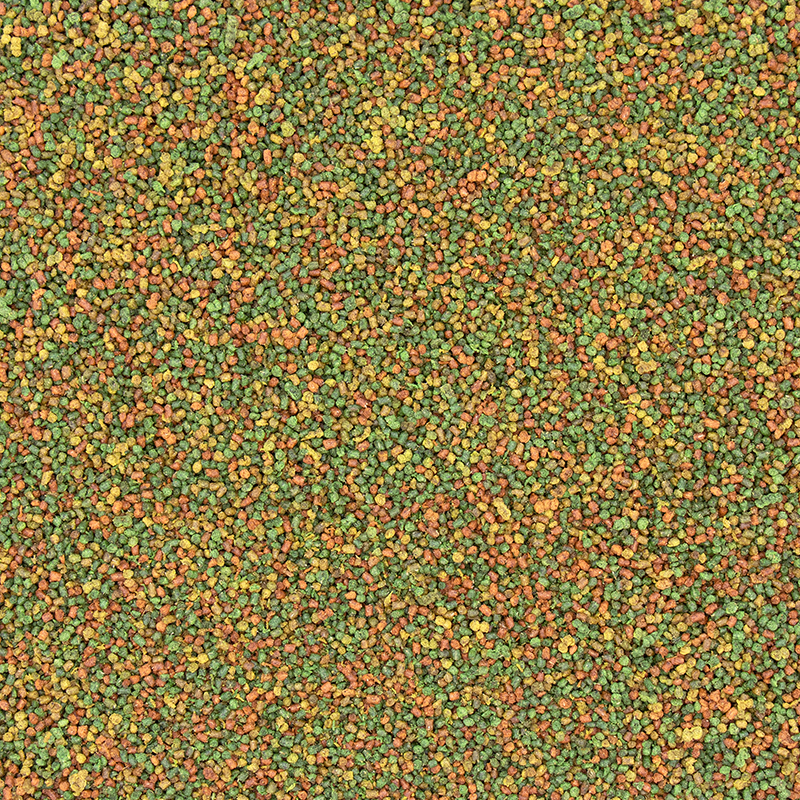 [一件包郵] Versele-Laga Nutribird C15 鸚鵡糧 - 1kg (到期日:2026年3月)