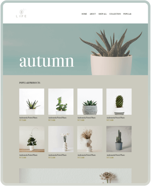 SHOPLINE 商店版型主題 Lux Moss