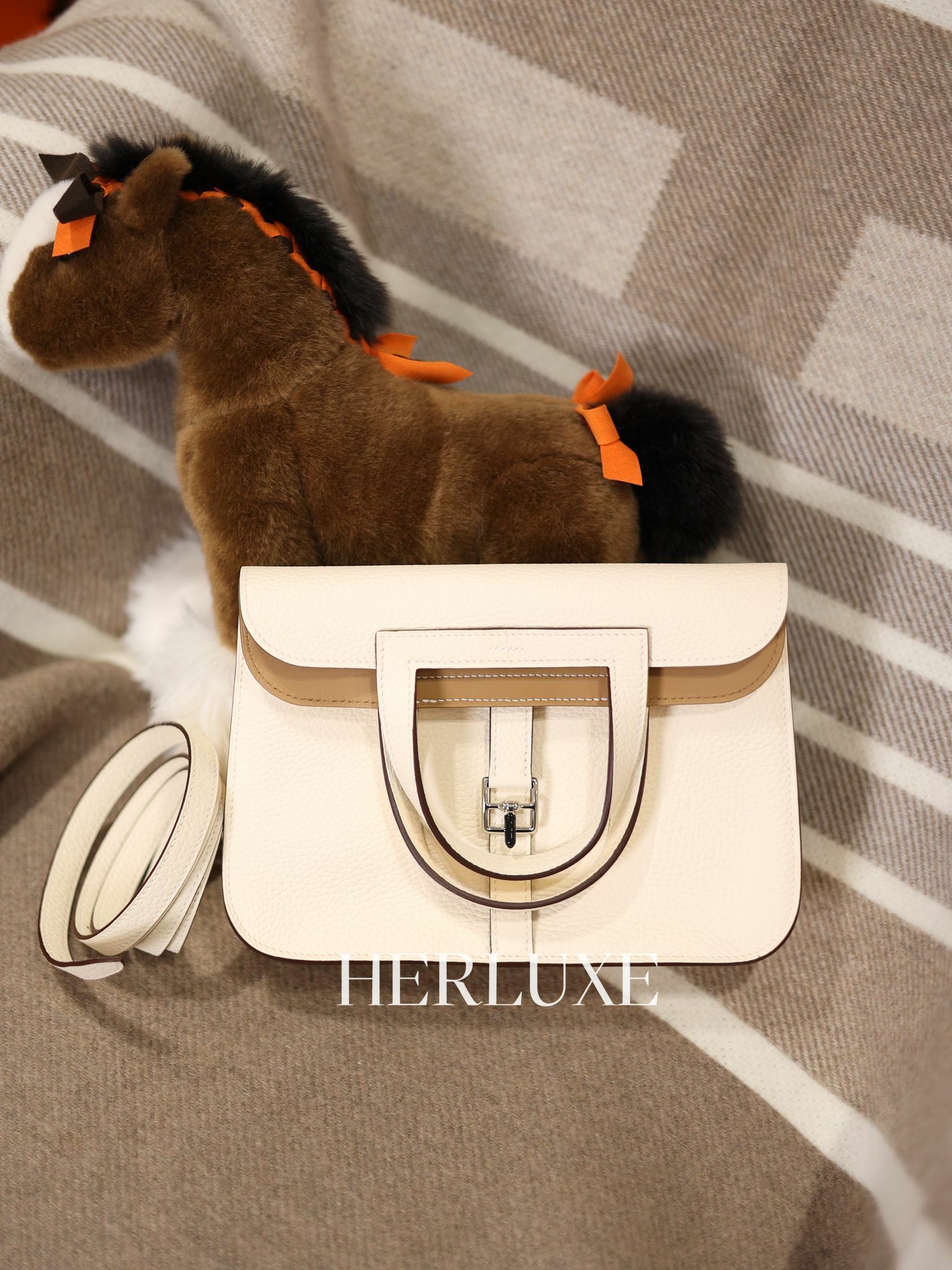 Halzan 25 i2 nata / 4B biscuit ck tc W