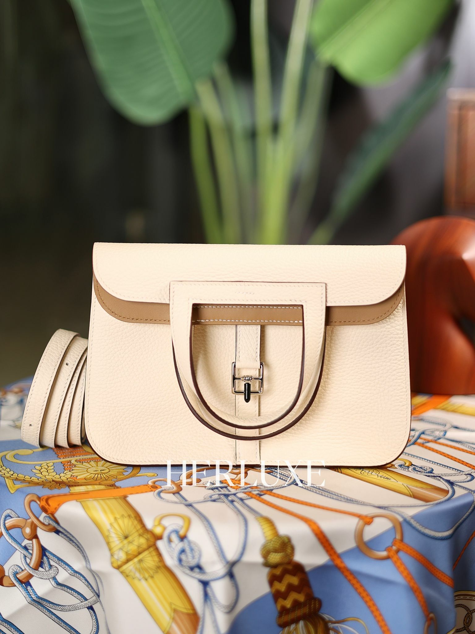 Halzan 25 i2 nata / 4B biscuit ck tc W