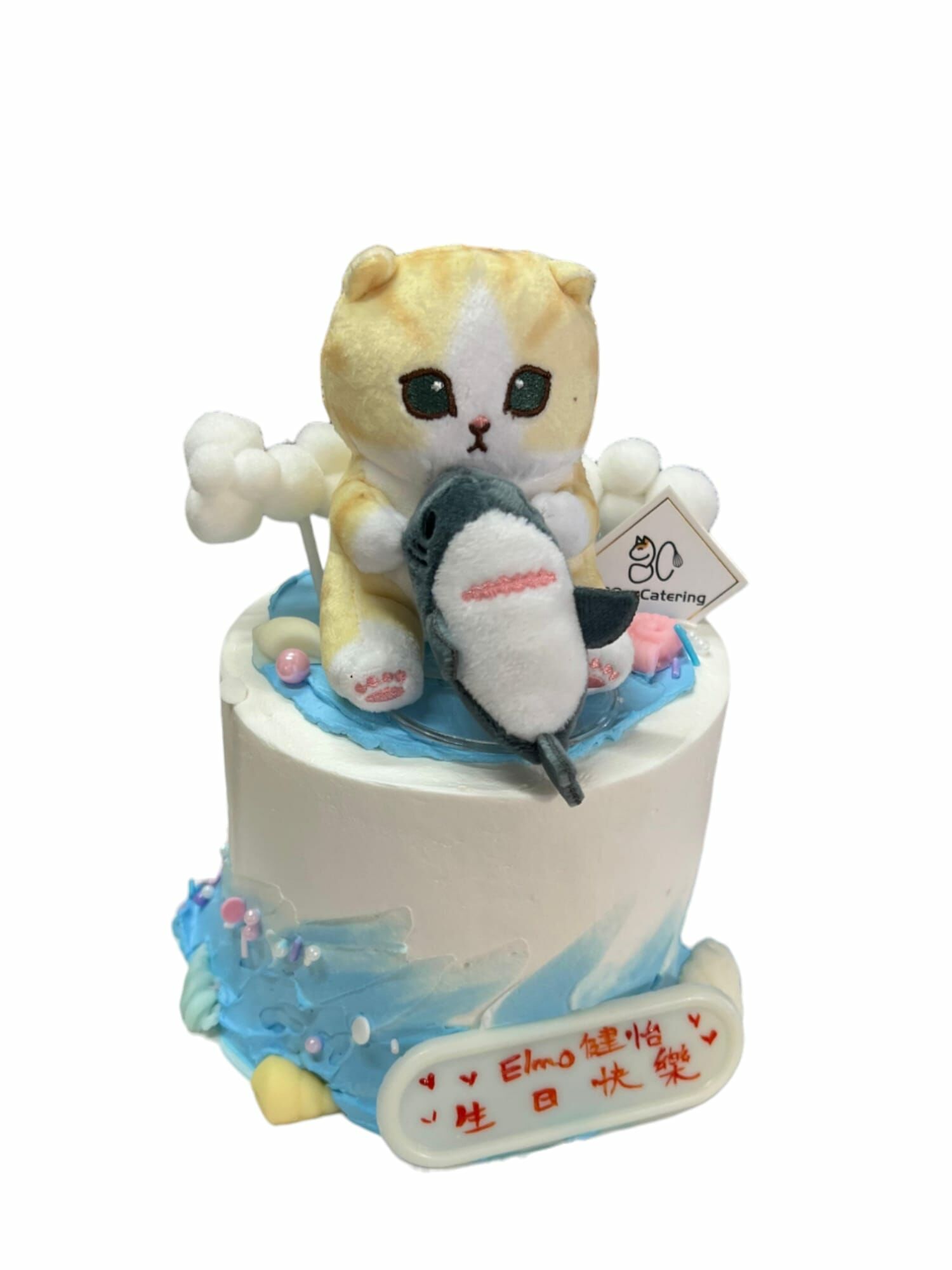 鯊魚貓主題蛋糕