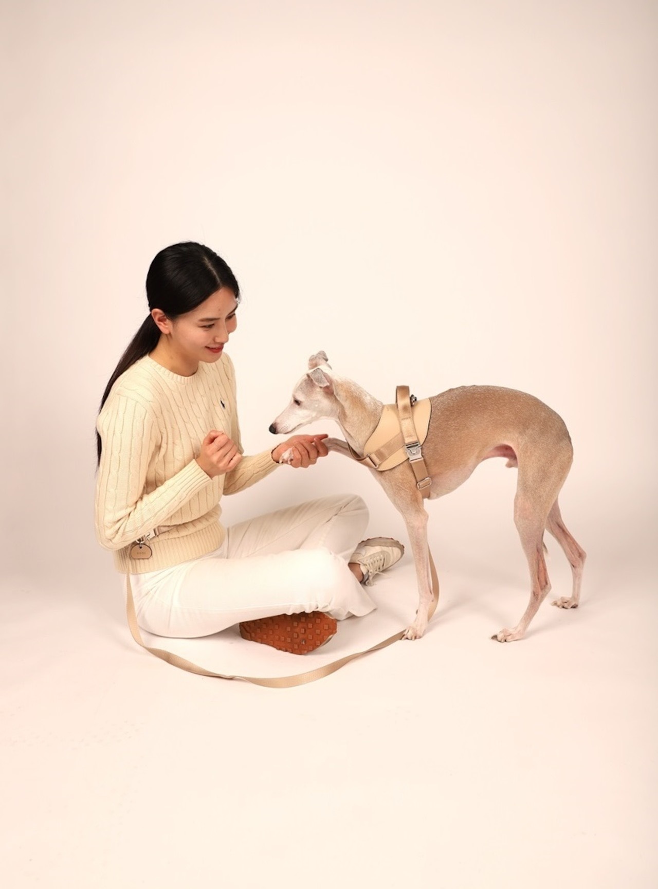 Saddle Hands-free Leash寵物牽繩