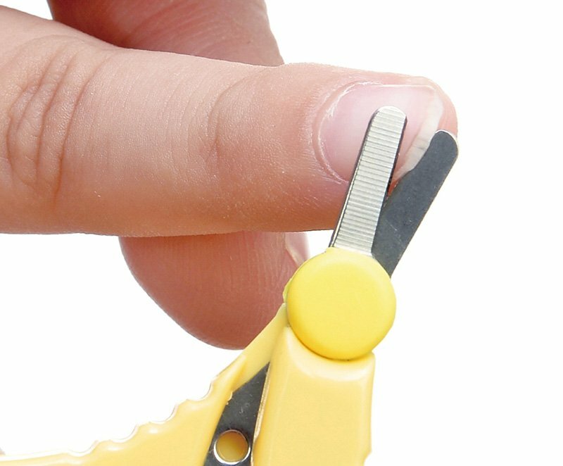 小獅王辛巴 嬰兒剪刀