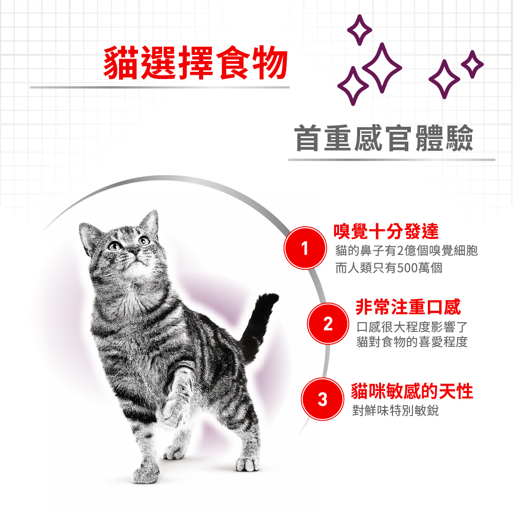 【下殺$38起】Royal Canin 法國皇家｜皇家濕糧 皇家餐包 F32W UC33 K36W S33W IH34W IN27W 饗宴主食濕糧 幼貓餐包 85g