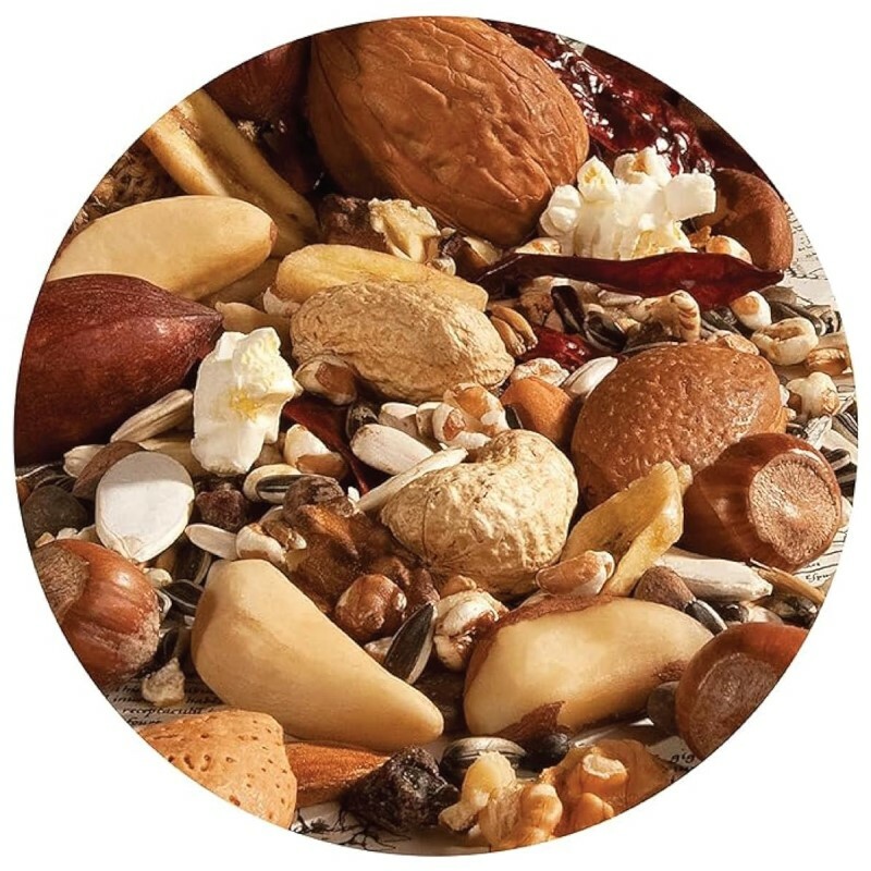 Versele-Laga 果實混合小食 - 750g