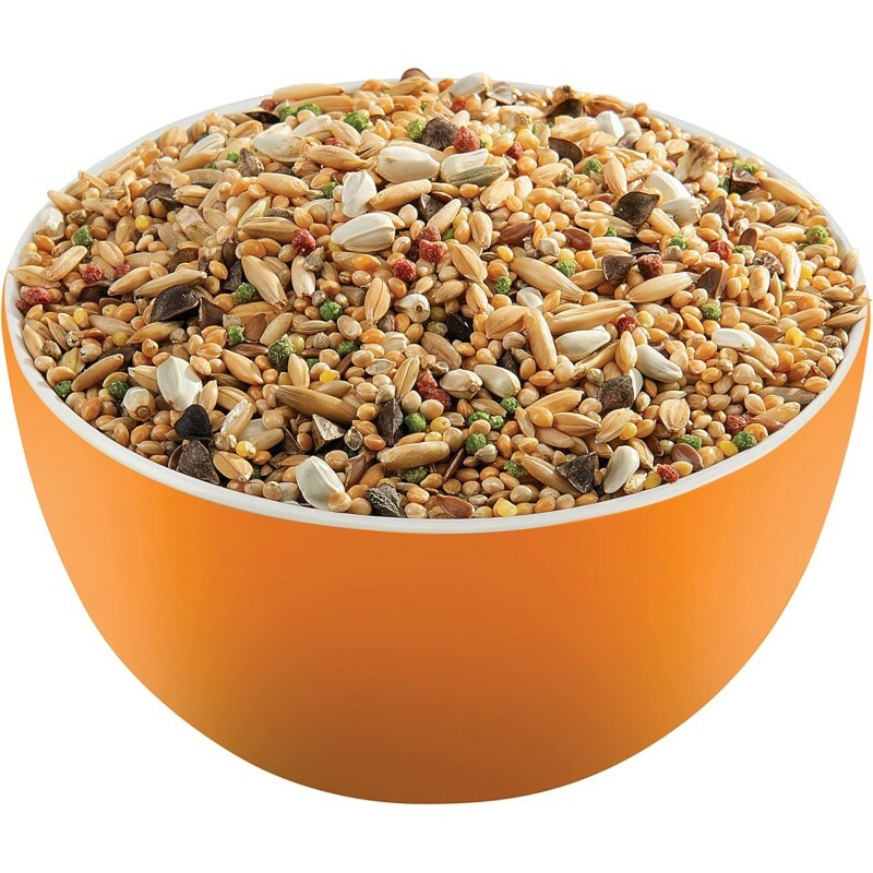 [一件包郵] Versele-Laga 非洲小型鸚鵡混合雜糧 - 1kg (到期日:2026年10月)