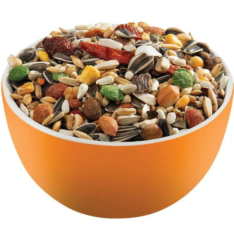 [一件包郵] Versele-Laga 非洲中大型鸚鵡混合雜糧 - 1kg (到期日:2026年3月)