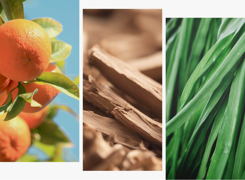 山間朝陽 複方精油