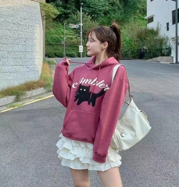 韓國代購 AMBLER 24年新款加絨衛衣AHP1211