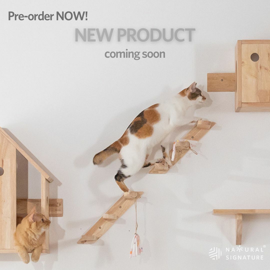 Natural Signature Cat Wall Climbing Ladder(set of 2)