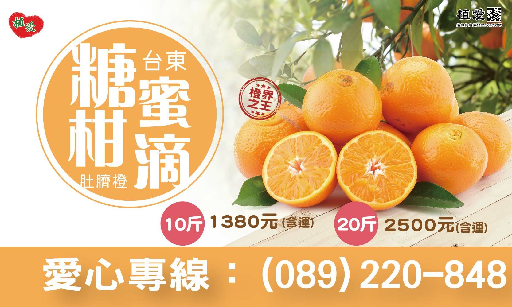 台東院│糖柑蜜滴-肚臍橙
