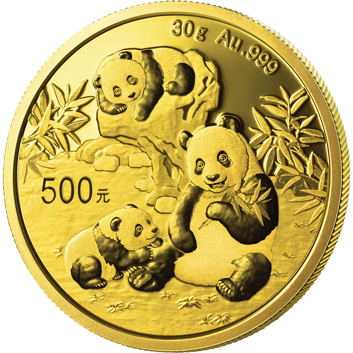 2025版熊貓30克紀念金幣